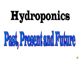 Hydroponics Past, Present and future