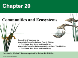 Lecture Slides