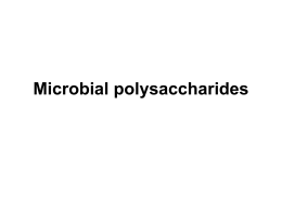 Microbial polysaccharides Xanthan Gum