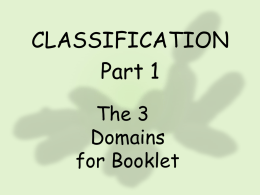 Classification Notes for Booklet