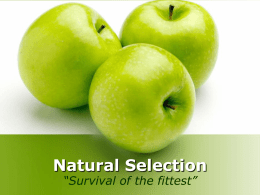 SBI3U – Natural Selection