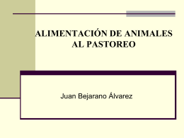 3._Alimentacion_animales_al_pastoreo