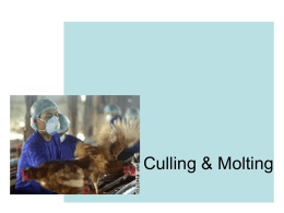 Kuliah-7 Culling & Molting