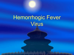 ( HFRS） Xing Jiang Hemorrhogic Fever Virus Hantaar Virus