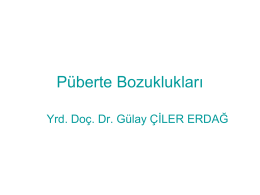 puberteboz2.gulay