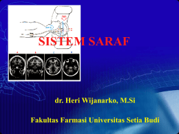 SYSTEMA NERVOSUM CENTRALE (SNC) (SISTEM SARAF PUSAT)