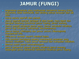 JAMUR (FUNGI)