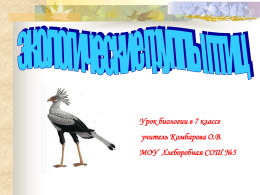 Экологические группы птиц - МБОУ Хлеборобная СОШ № 5