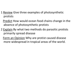 21.3_The_Ecology_of_Protists