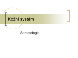 Kožní systém (prezentace)