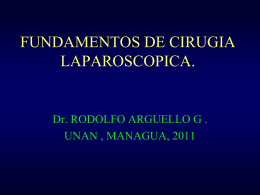 fundamentosd de cirugia laparoscopica 2010