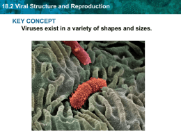 18.2 Viral Structure and Reproduction