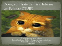 - GEAC-UFV - Universidade Federal de Viçosa
