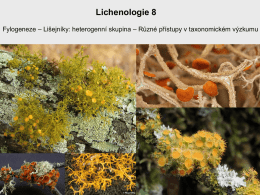 Lichen system