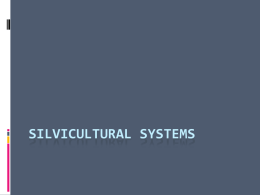 Silvicultural systems File