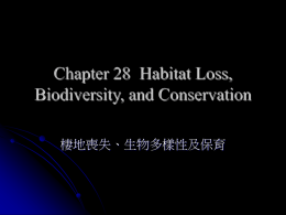 棲地喪失、生物多樣性及保育