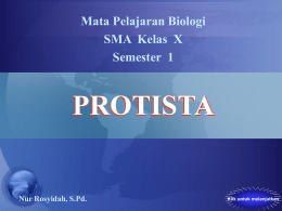 7_d_12_Protista