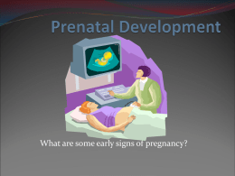 Conception and Birth PowerPoint Presentation