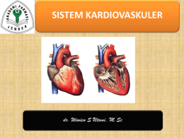 sistem kardiovaskuler Akfar