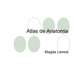 Atlas de Anatomia