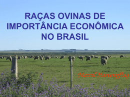 RAÇAS OVINAS DE IMPORTÂNCIA ECONÔMICA NO BRASIL