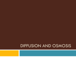 Diffusion and osmosis
