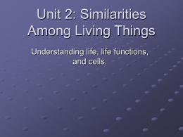 Unit 2: Similarities Among Living Things