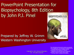 Causes of Brain Damage