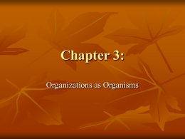 Chapter 3: Organizations as Organism