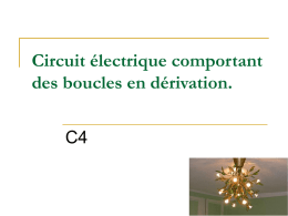 C4 Circuit electrique comportant des boucles en derivation