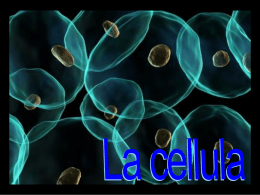 La cellula - Il Blog di scuolaidea