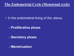 The Endometrial Cycle (Menstrual cycle)