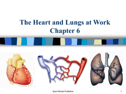 Heart and Lungs at Work