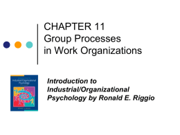 Riggio Group Process in Work Organizations