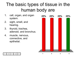 The basic types of tissue in the human body are