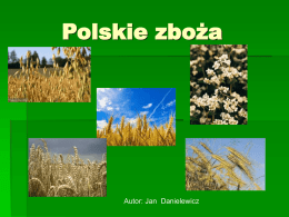 Polskie zboża (Prezentacja) - sp_lubniany.wodip.opole.pl