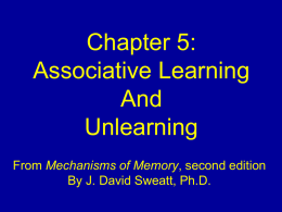 Chapter 5. Associative learning and unlearning
