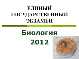 1 - Институт развития образования Омской области