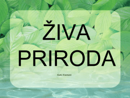 ŽIVA PRIRODA - 4. a Bednja