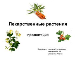 Лекарственные растения ()