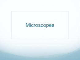 Review Assessment and Intro to Microscopes