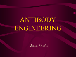 Antibody Engineering ppt