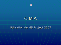 MS/Project