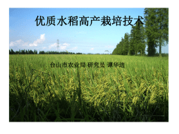 优质水稻高产栽培技术讲座
