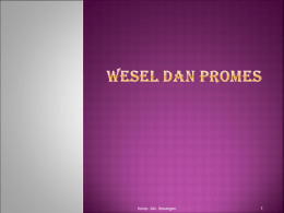 Wesel dan promes.