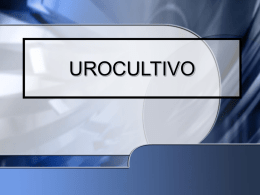 UROCULTIVO - WordPress.com