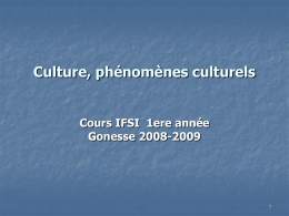 Culture_Gonesse09