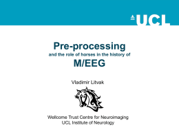 02_MEEG_Preprocessing - Wellcome Trust Centre for Neuroimaging