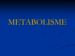 bab 02 metabolisme