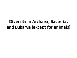 Archaea, Bacteria, & Eukarya